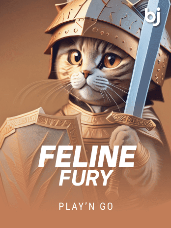 Feline Fury game cover